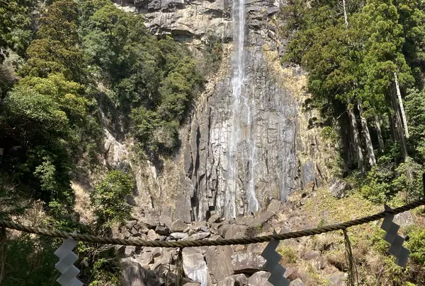 那智の滝の写真・動画_image_1315483
