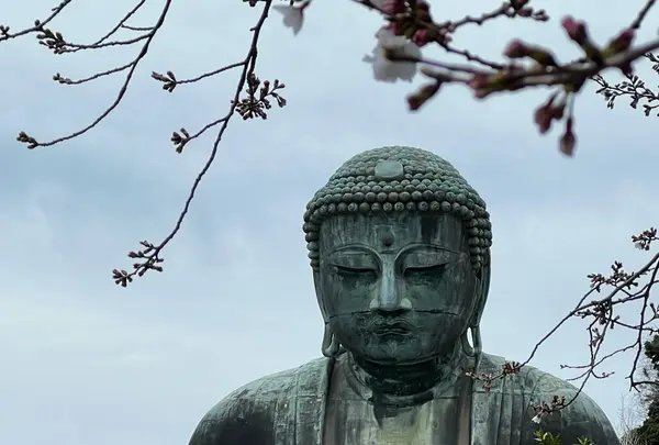 鎌倉大仏（高徳院）の写真・動画_image_1316657