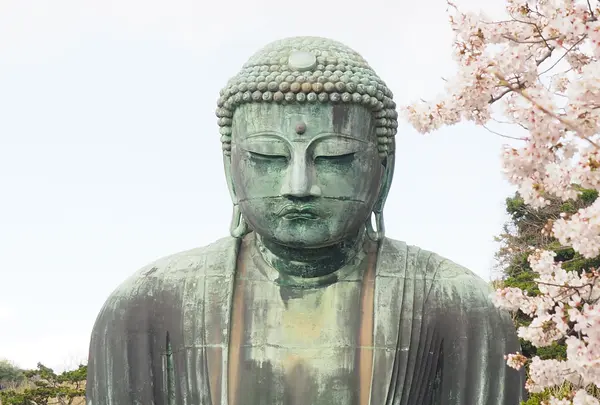 鎌倉大仏（高徳院）の写真・動画_image_1322968