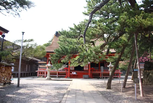 日御碕神社の写真・動画_image_1329309