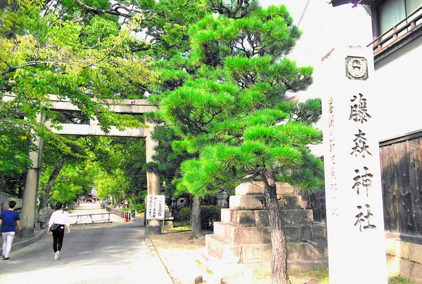 藤森神社の写真・動画_image_1346105