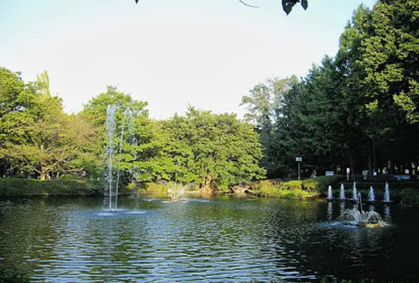 妙正寺公園