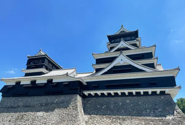 熊本城の写真・動画_image_1359985
