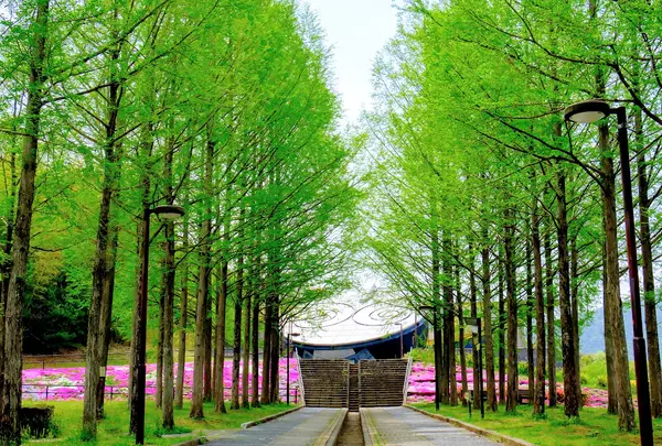 日本へそ公園の写真・動画_image_1360975