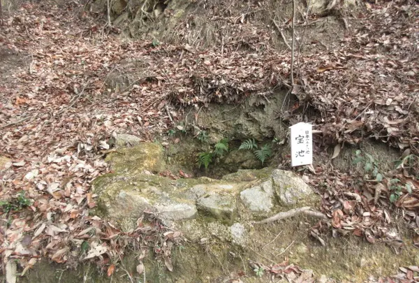 日本一小さい池宝池の写真・動画_image_1371133