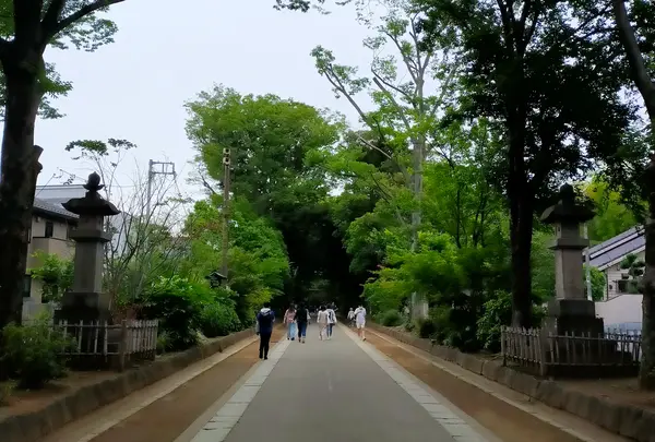武蔵一宮 氷川神社の写真・動画_image_1374027
