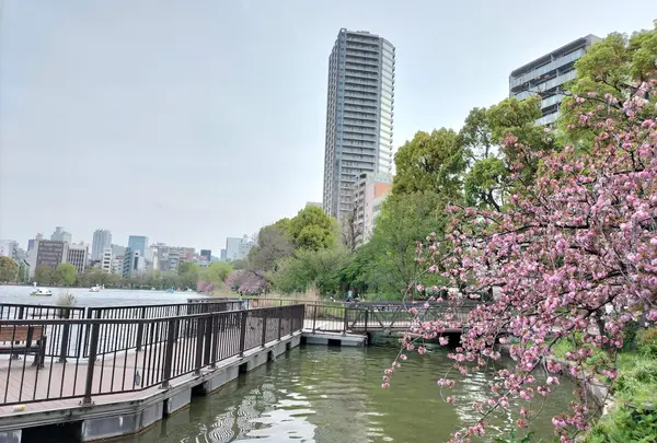 上野恩賜公園（上野公園）