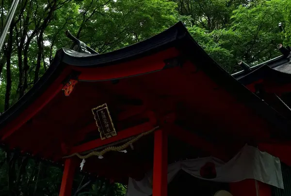 九頭龍神社（新宮）の写真・動画_image_145202