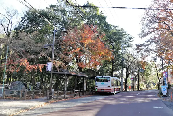 深大寺（バス）