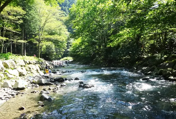 静岡市清水森林公園やすらぎの森の写真・動画_image_147774