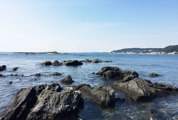 天神島臨海自然教育園の写真・動画_image_150717
