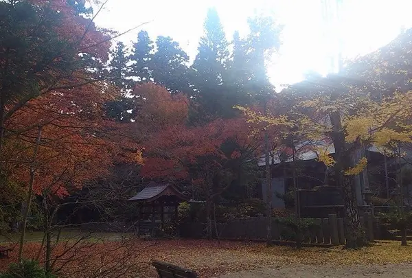 常隆寺の写真・動画_image_154202