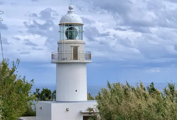 八丈島灯台の写真・動画_image_1547732
