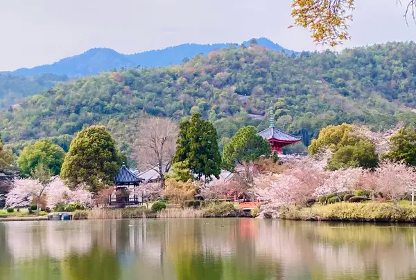 旧嵯峨御所大本山 大覚寺
