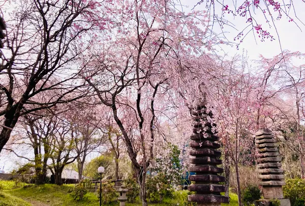 桜守 佐野藤右衛門邸