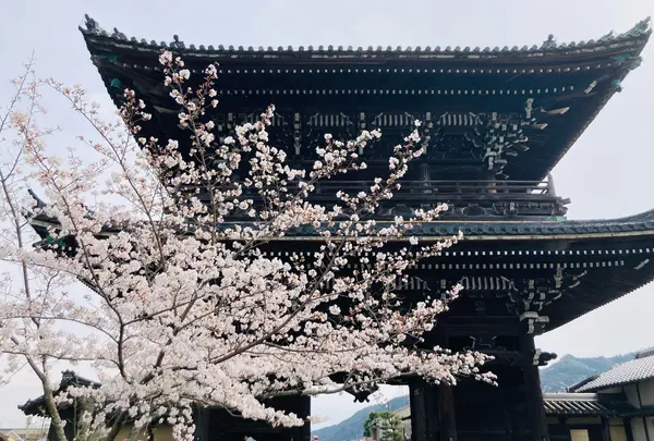 五台山 清凉寺（嵯峨釈迦堂）