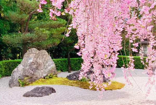 妙心寺 退蔵院