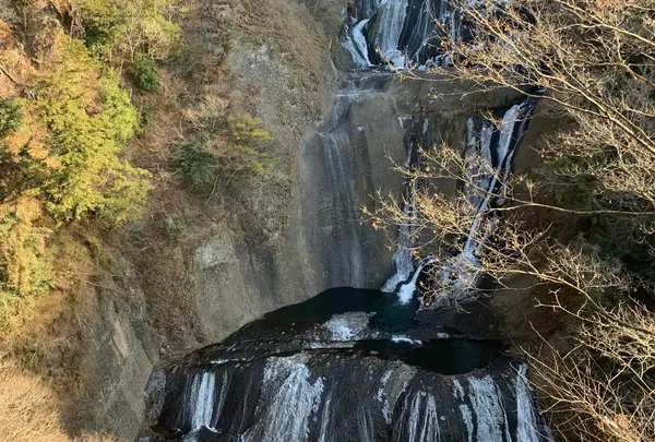 袋田の滝の写真・動画_image_1581884