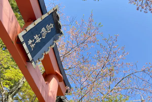 高鴨神社の写真・動画_image_1587697