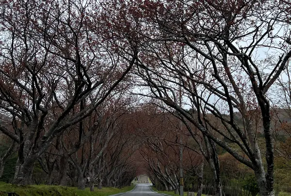 石崎地主海神社