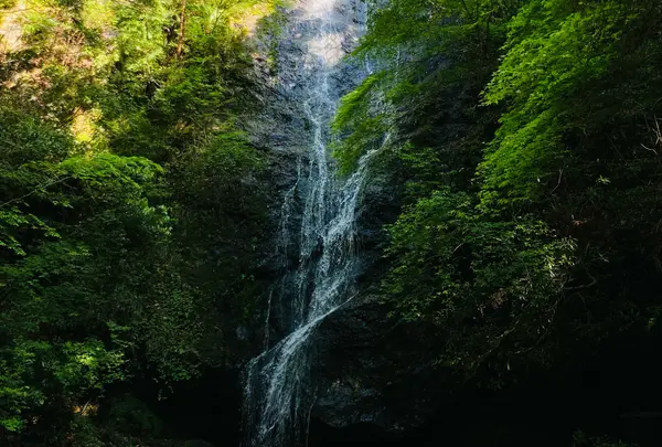 琴滝の写真・動画_image_1593227