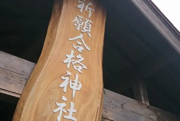 合格神社の写真・動画_image_159323