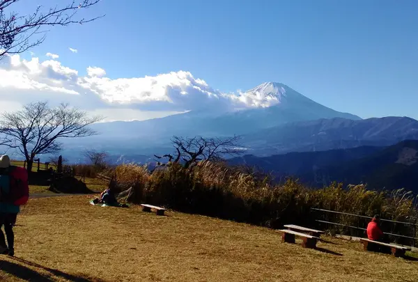 大野山の写真・動画_image_160225