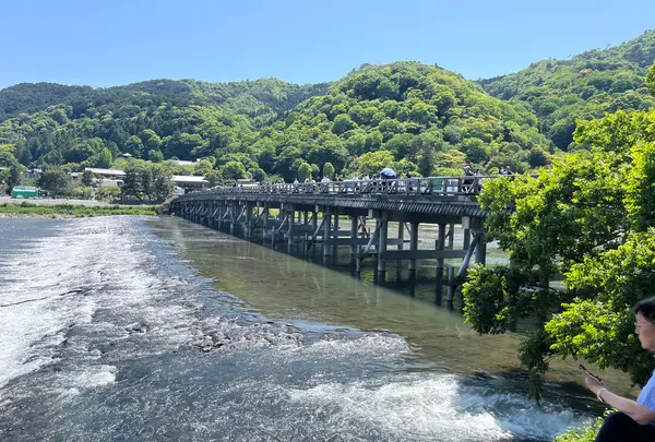 渡月橋の写真・動画_image_1604407