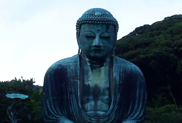 鎌倉大仏（高徳院）の写真・動画_image_162981