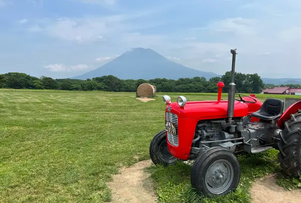 高橋牧場ニセコミルク工房