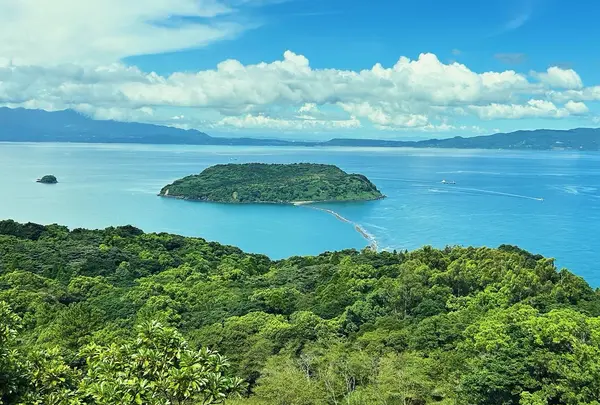 知林ヶ島