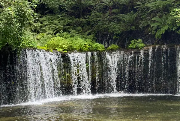 白糸の滝の写真・動画_image_1648575