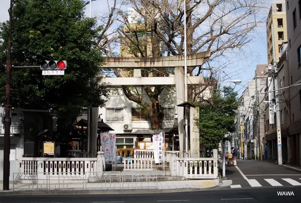鳥越神社の写真・動画_image_164895