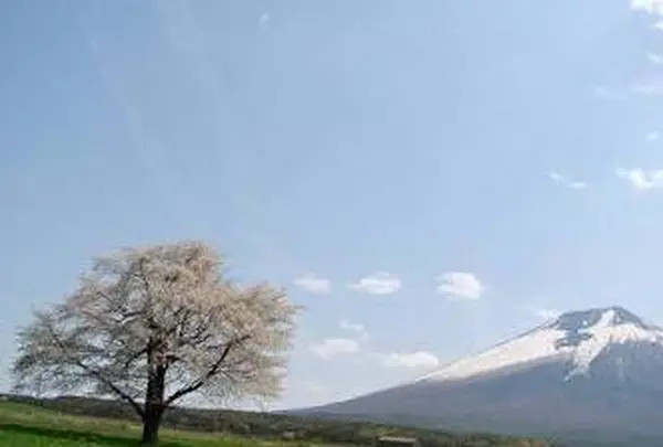 岩手山（南部片富士）の写真・動画_image_165056