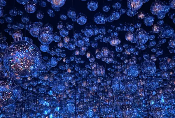 森ビルデジタルアートミュージアム：エプソン チームラボボーダレス（teamLab Borderless: MORI Building DIGITAL ART MUSEUM）の写真・動画_image_1672381