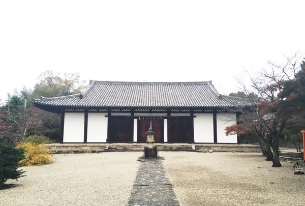 新薬師寺の写真・動画_image_167897
