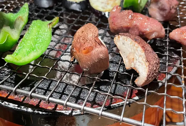 ホルモン焼かっぱ
