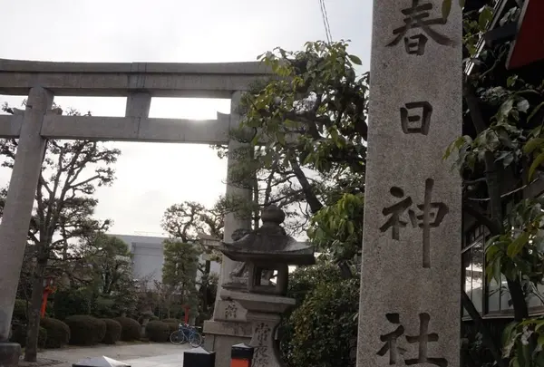 春日神社の写真・動画_image_171752