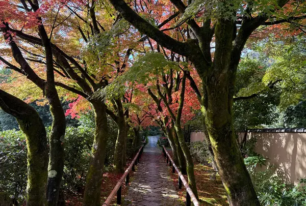 光悦寺