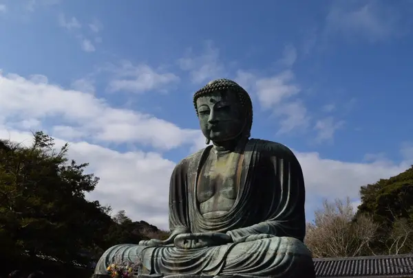 鎌倉大仏（高徳院）の写真・動画_image_172130