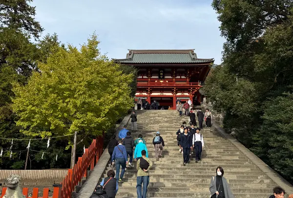 鶴岡八幡宮の写真・動画_image_1722741