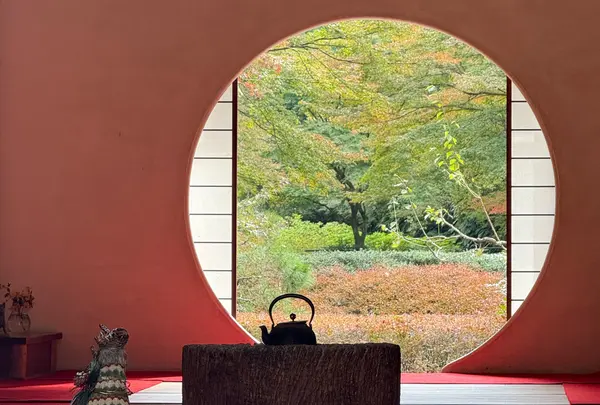 明月院（あじさい寺）の写真・動画_image_1722751