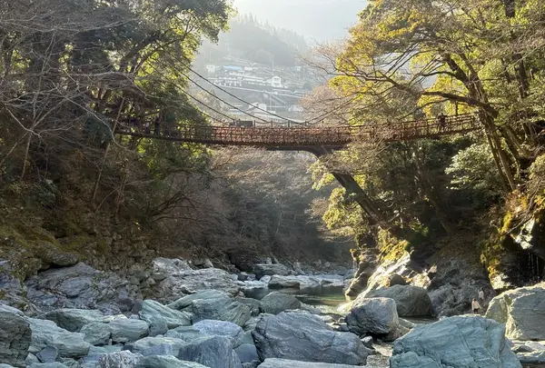 祖谷のかずら橋