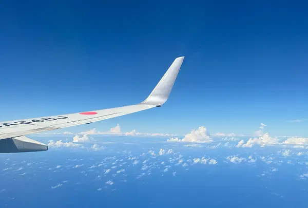 宮古空港の写真・動画_image_1771725