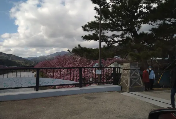 谷津