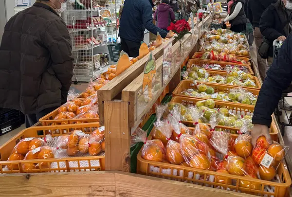 古賀市コスモス館