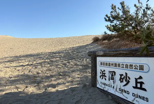 浜岡砂丘