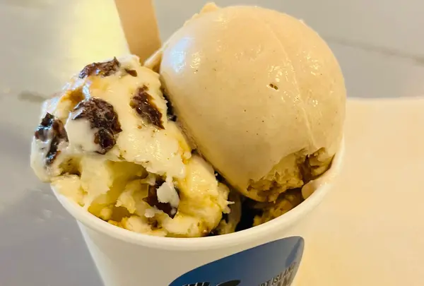 Mount Desert Island Ice Cream Matsumoto