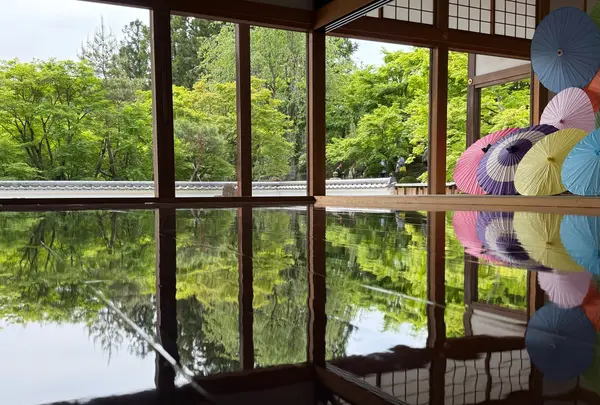 宝徳寺の写真・動画_image_1819125