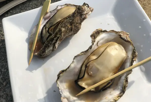 宮島の宿 さくらや